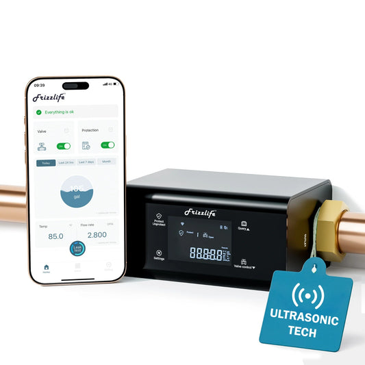 Frizzlife LP365 – Monitor Inteligente de Agua con Cierre Automático ante Fugas