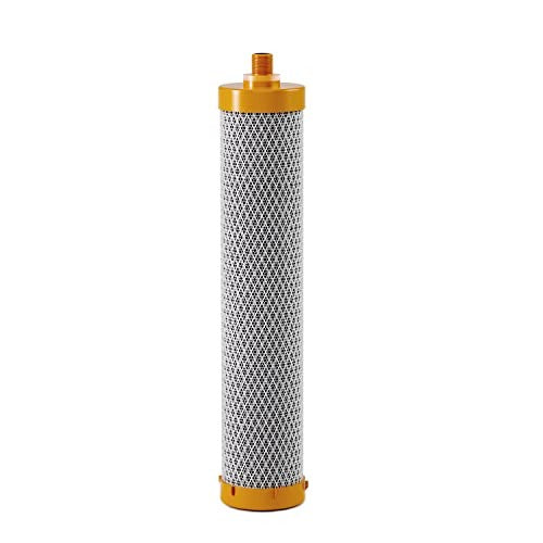 Frizzlife DSF02 – Filtro de Repuesto para SS99 y DS99