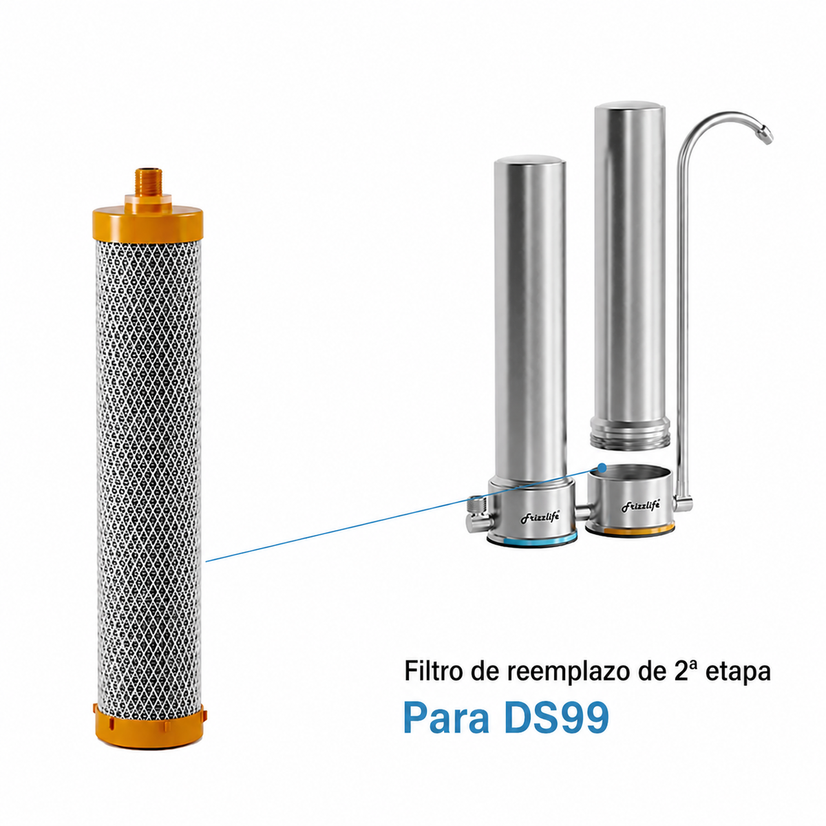 Frizzlife DSF02 – Filtro de Repuesto para SS99 y DS99