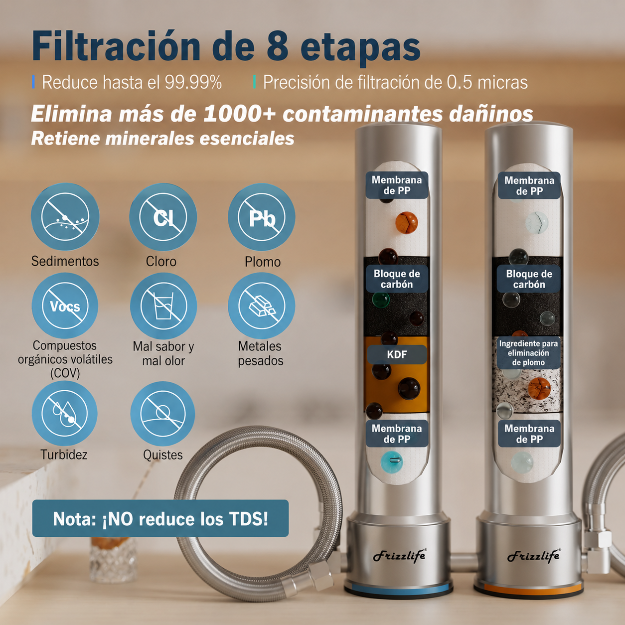 Frizzlife UDS99 - Filtro De Agua Bajo Lavadero en Acero Inoxidable
