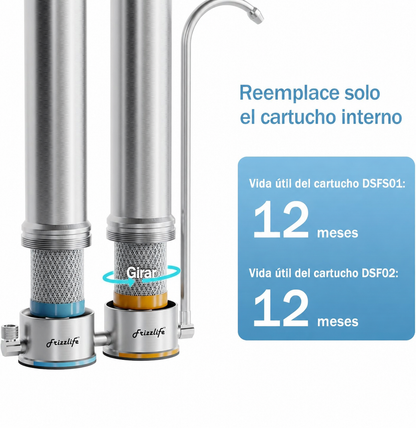 Frizzlife DSF02 – Filtro de Repuesto para SS99 y DS99